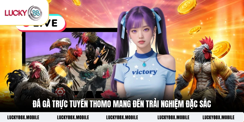 Đá gà trực tuyến Thomo mang đến trải nghiệm đặc sắc