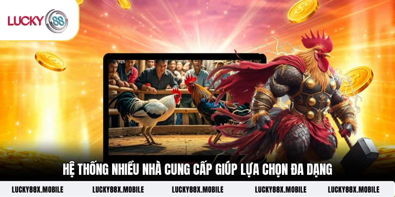 Hệ thống nhiều nhà cung cấp giúp lựa chọn đa dạng