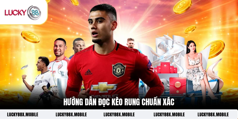 Hướng dẫn đọc kèo rung chuẩn xác