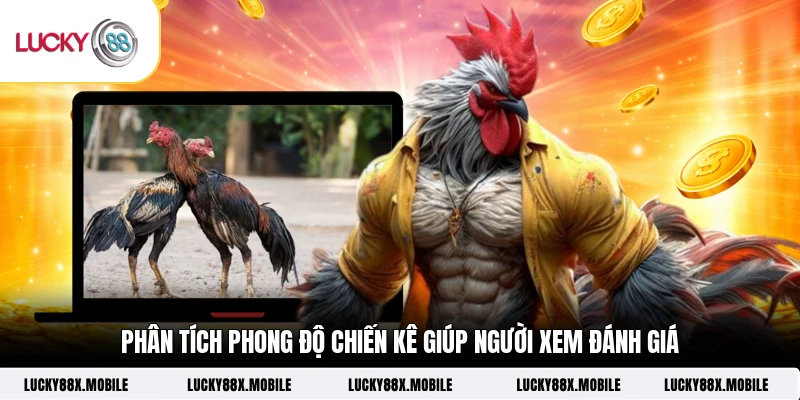 Phân tích phong độ chiến kê giúp người xem đánh giá