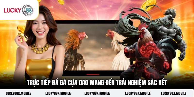 Trực tiếp đá gà cựa dao mang đến trải nghiệm sắc nét